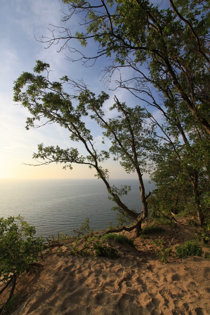 Indiana Dunes Gallery- Summer Zepher